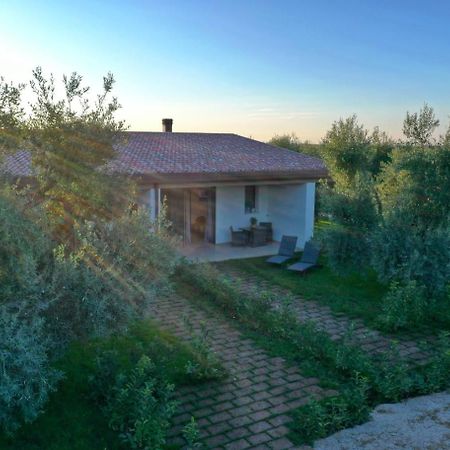 Bed and Breakfast I Secolari Sannicandro di Bari Экстерьер фото