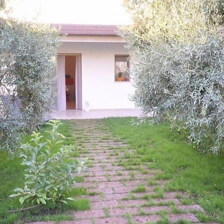 Bed and Breakfast I Secolari Sannicandro di Bari Экстерьер фото