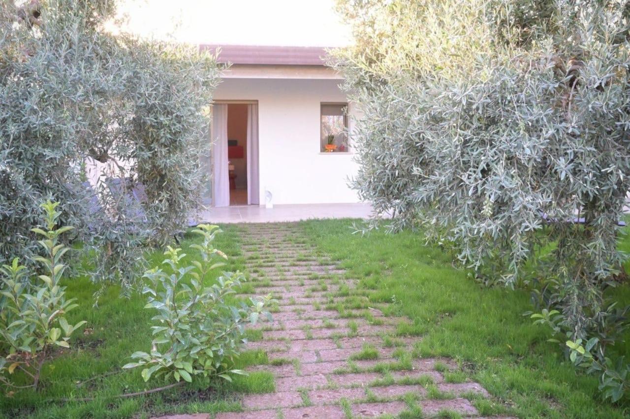 Bed and Breakfast I Secolari Sannicandro di Bari Экстерьер фото